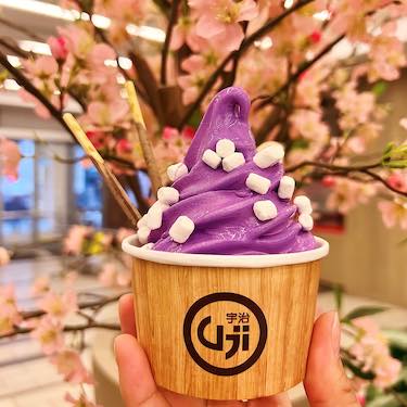 Uji time frozen yogurt